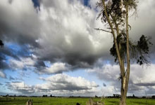 20/21賽季歐冠1/4決賽次回合比賽集錦.