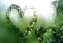 霍伊倫德簽約一個多月球衣仍未上市 曼聯球迷怒批俱樂部“無能”!.